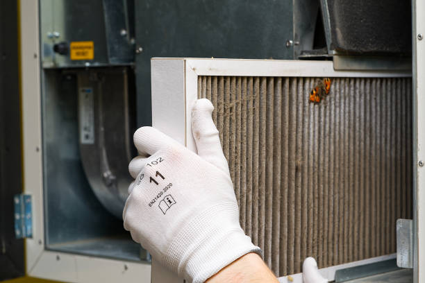 Best Affordable Air Duct Cleaning  in Meadowbrook, CA