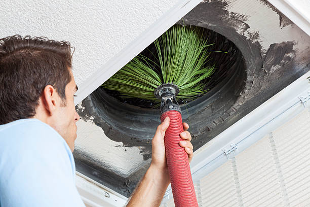 Best Home Air Vent Cleaning  in Meadowbrook, CA